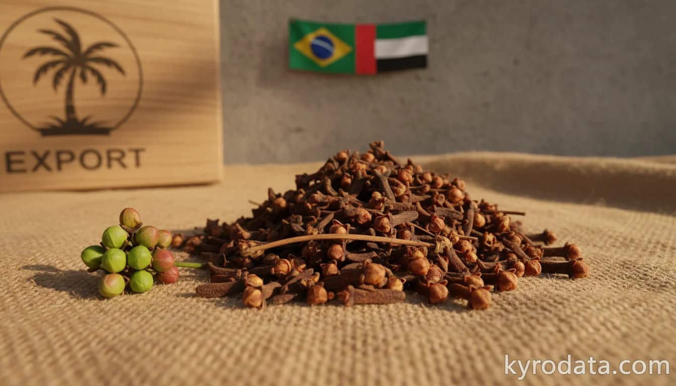 Editorial illustration on Brazil's exports of Cravo-da-índia (frutos, flores e pedúnculos) with Emirados Árabes Unidos